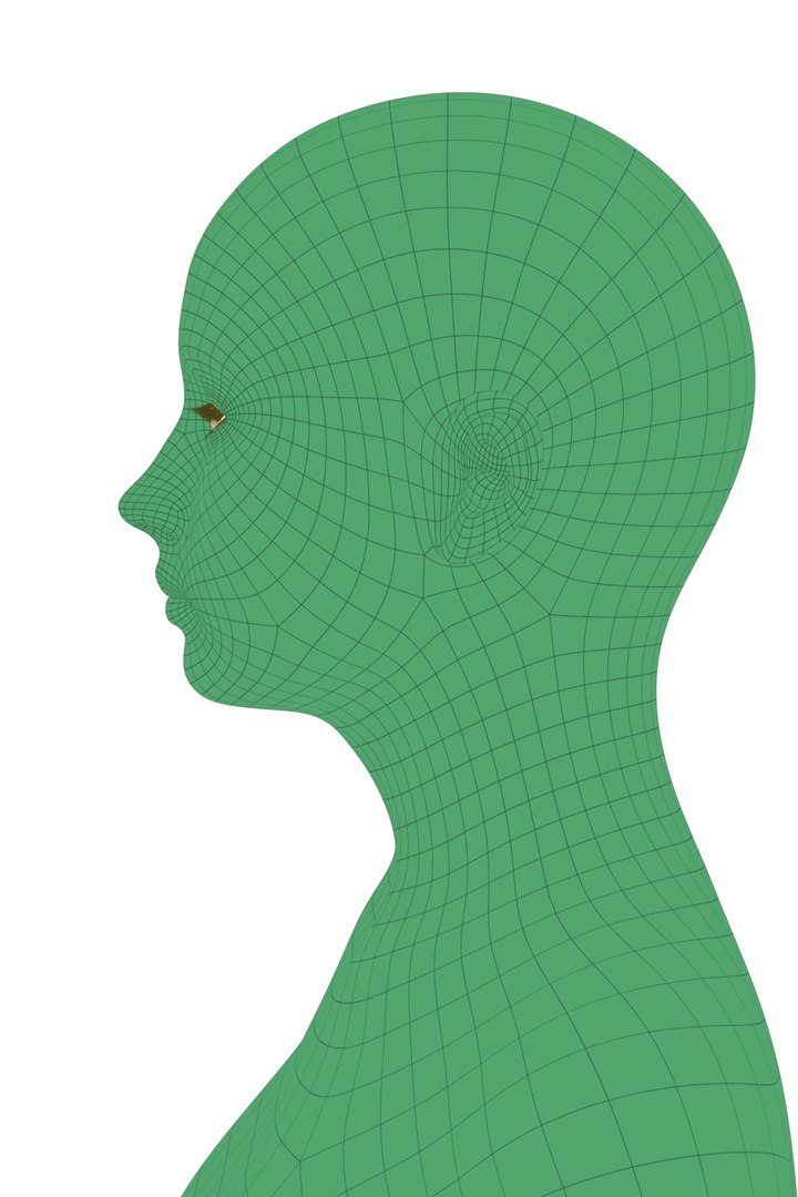 3d girl female human model https://p.turbosquid.com/ts-thumb/6w/JL7AnQ/bP6ecQ5L/wireframe_9/png/1462736415/1920x1080/fit_q87/2e25dc0e511663764e1f740ffda03adaa4eac218/wireframe_9.jpg