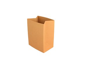 Paper Bag
