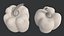 Bell Peppers Collection - 6 colors 12 model PBR