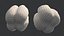 Bell Peppers Collection - 6 colors 12 model PBR