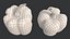 Bell Peppers Collection - 6 colors 12 model PBR