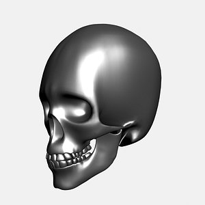 3d metallic human skull model