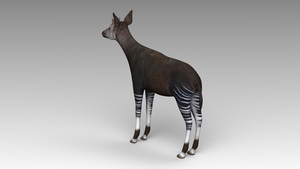 modelo 3d Okapi - TurboSquid 1990485
