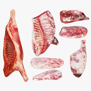3D Carcass and Primal Cuts Collection
