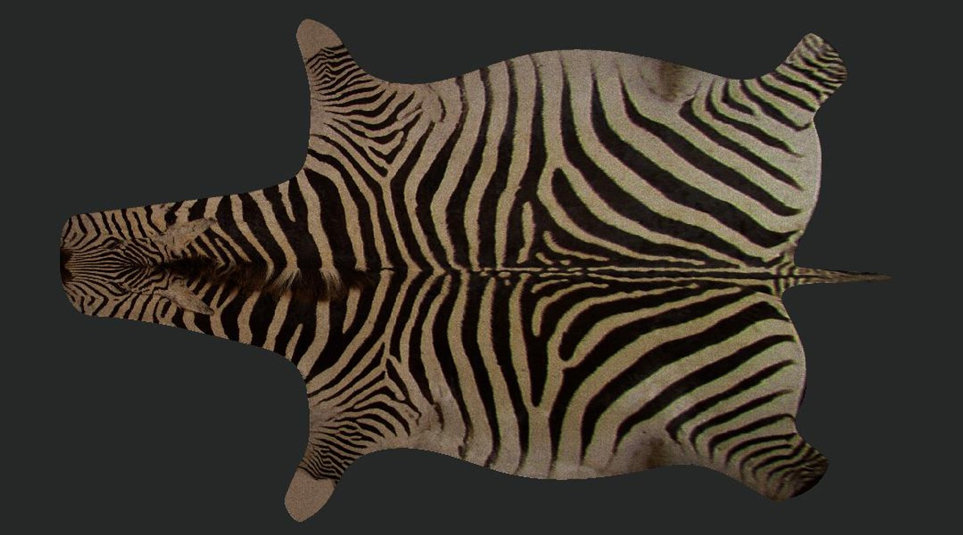 Zebra Rug 3d Max