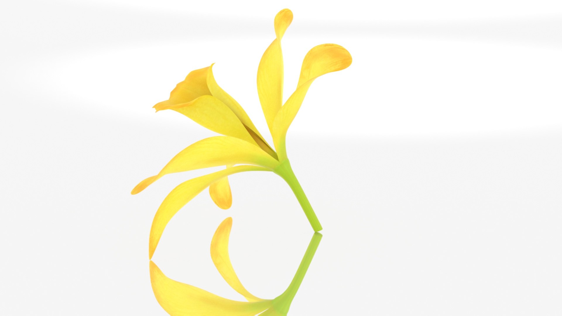 3D Model Vanilla Orchid Flower - TurboSquid 1512046