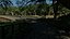 Park Scene
