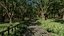Park Scene
