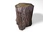 Stump 01