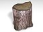 Stump 01