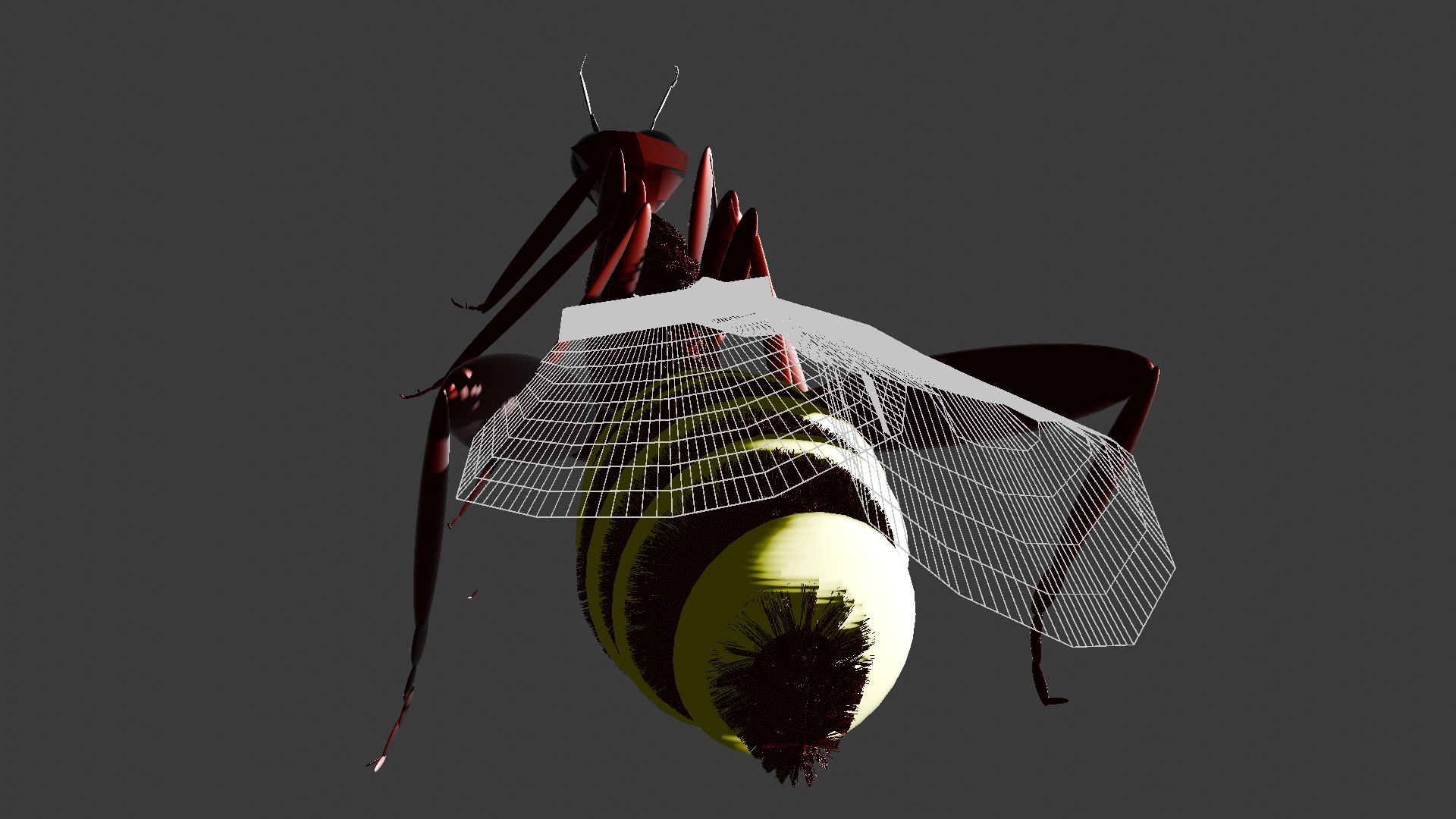 3D Insect Model - TurboSquid 2244759