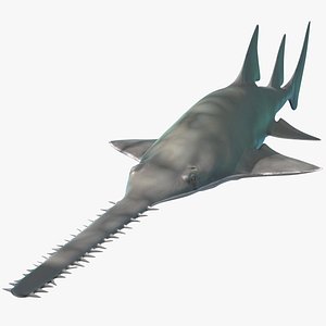 Sawfish