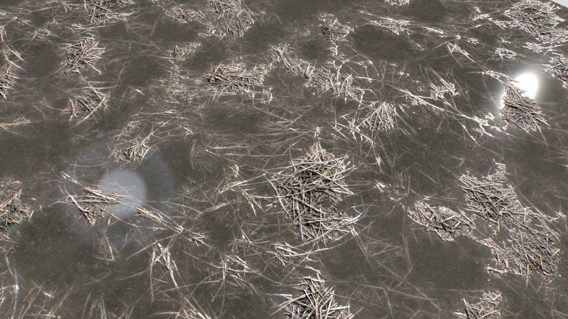 Water with algae and Plants 4 model https://p.turbosquid.com/ts-thumb/6x/JpZ08n/0s/untitled_005/jpg/1751050914/1920x1080/fit_q87/74f011ba50cd27108c260df9cf2cf97443f1fa6d/untitled_005.jpg