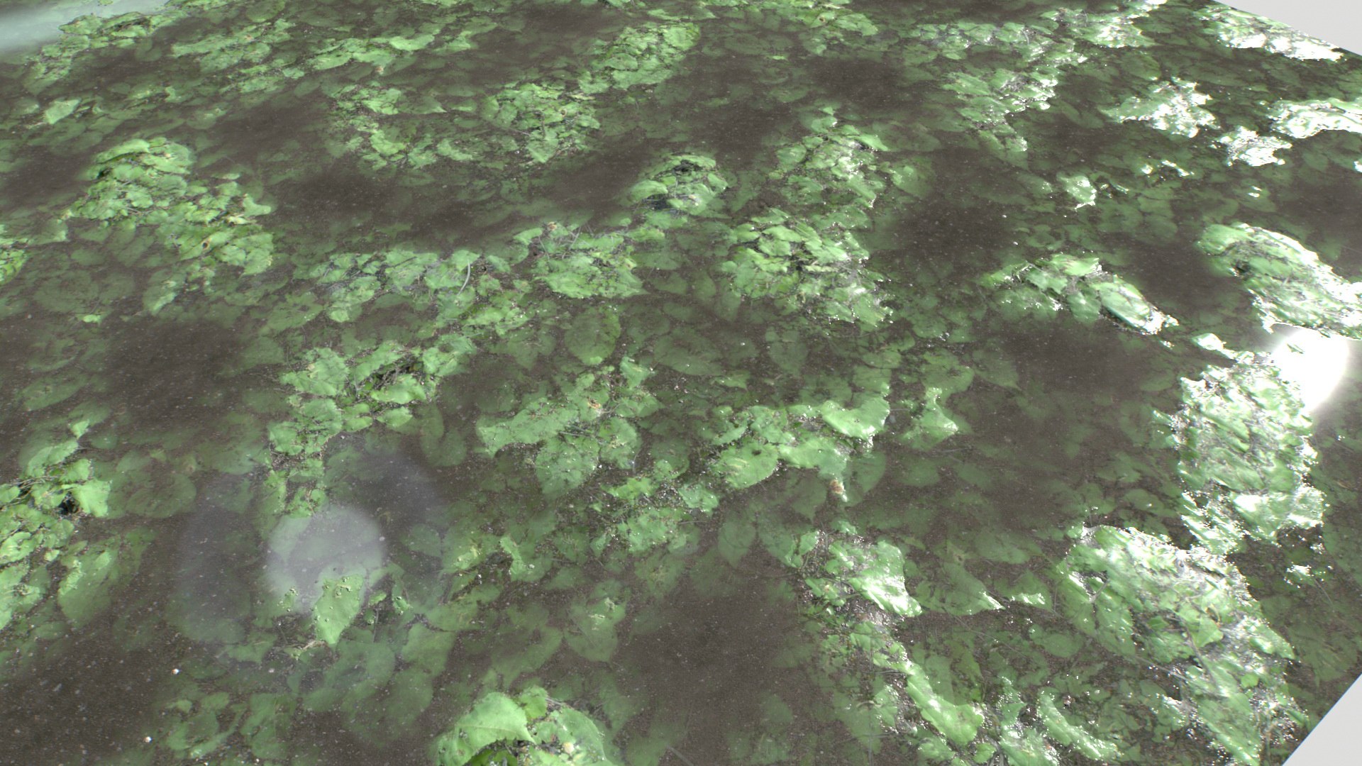 Water with algae and Plants 4 model https://p.turbosquid.com/ts-thumb/6x/JpZ08n/4O/untitled_002/jpg/1751050909/1920x1080/fit_q87/b1cd1f6a6c28c6597c6fba8563120593b1d147e7/untitled_002.jpg