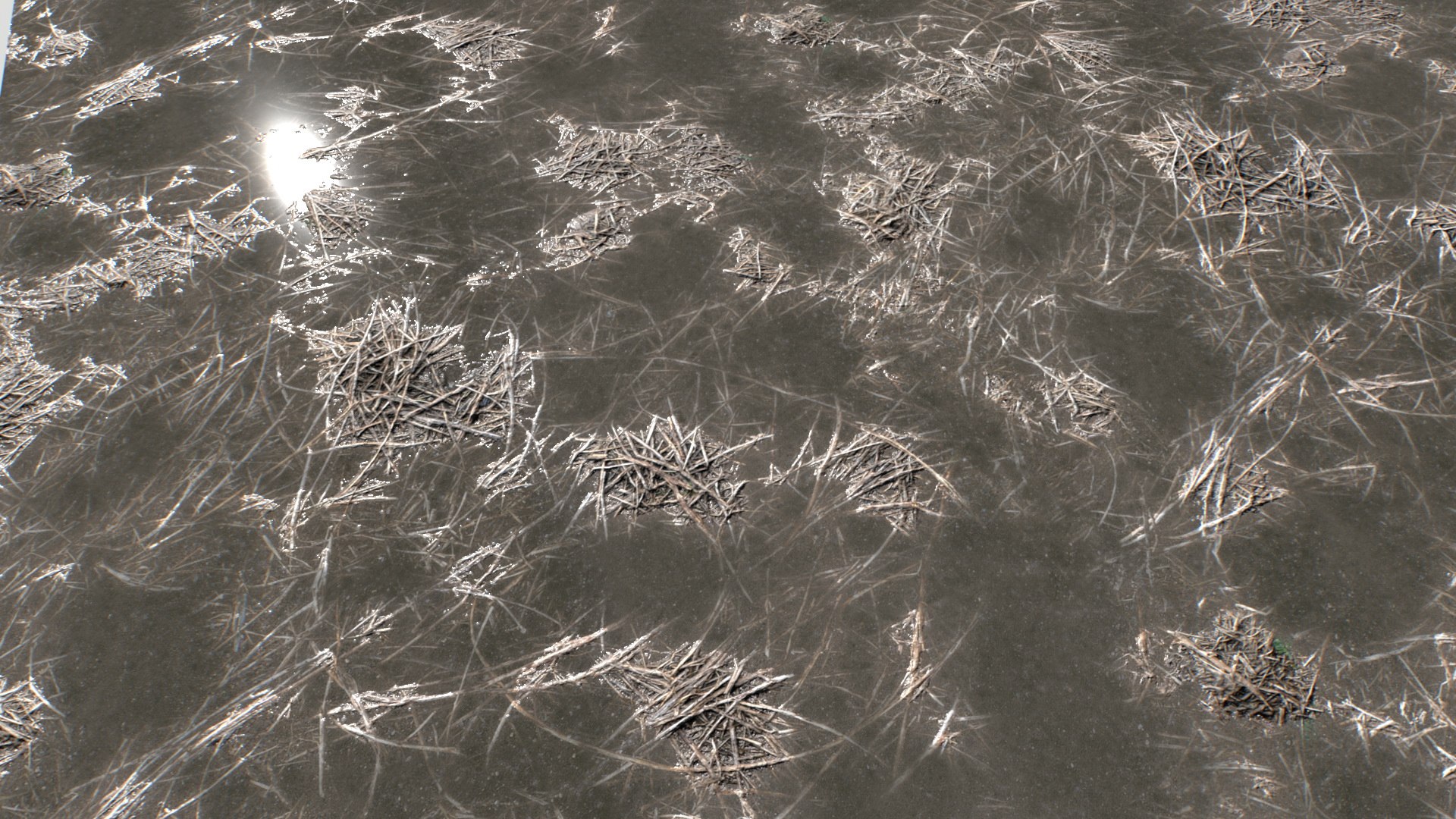Water with algae and Plants 4 model https://p.turbosquid.com/ts-thumb/6x/JpZ08n/ov/untitled_004/jpg/1751050913/1920x1080/fit_q87/dedca27bb9e319bfce7591e395888bf8d369546b/untitled_004.jpg