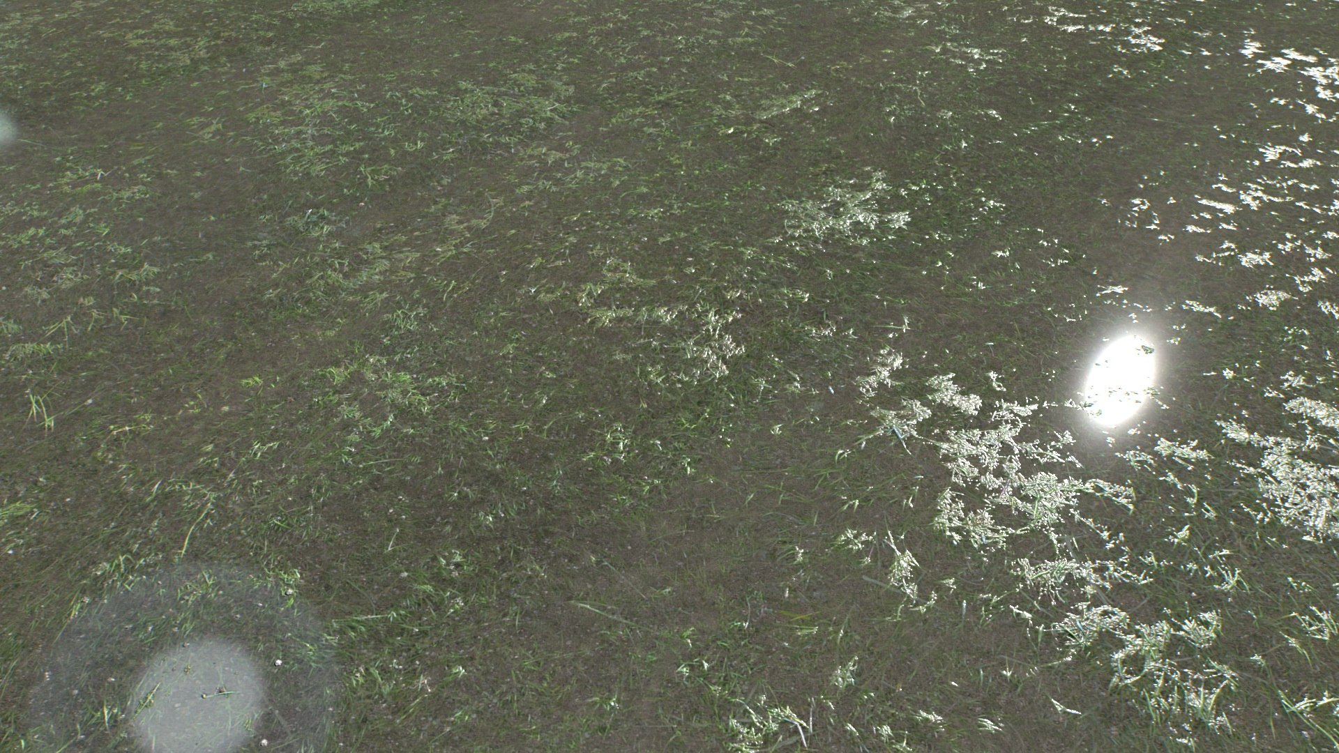 Water with algae and Plants 4 model https://p.turbosquid.com/ts-thumb/6x/JpZ08n/tP/untitled/jpg/1751050910/1920x1080/fit_q87/00617951c962783d6e7222ec17c95412d0aae7c6/untitled.jpg