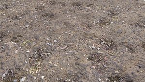 Rough Terrain PBR 7 3D model
