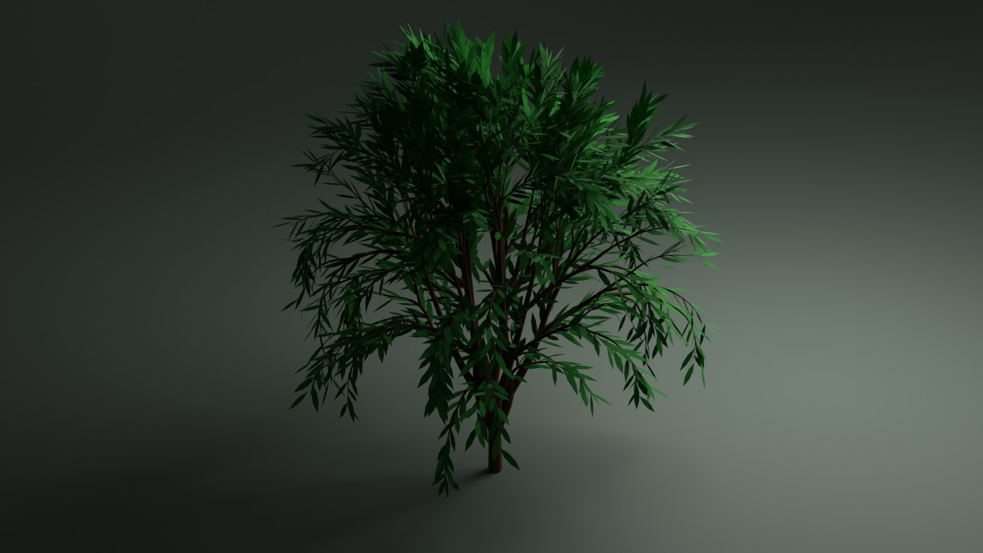 Free Callistemon Tree Model - TurboSquid 2062119