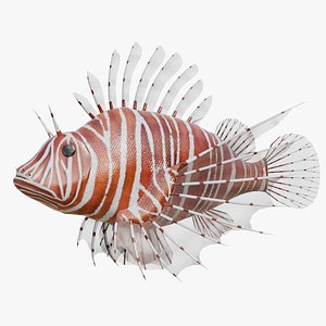 3D model Lionfish Rigged