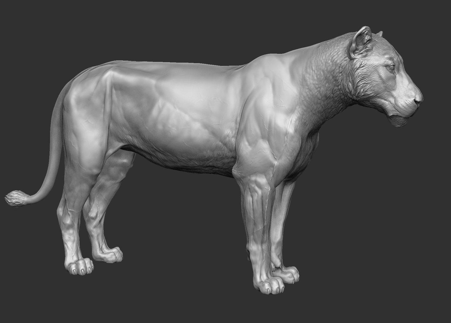 3D lion zbrush - TurboSquid 1226673