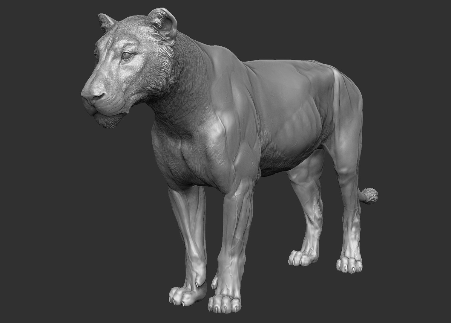 3D Lion Zbrush - TurboSquid 1226673