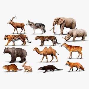 Realistic Animals Pack Animated Animal 3D Models 3D