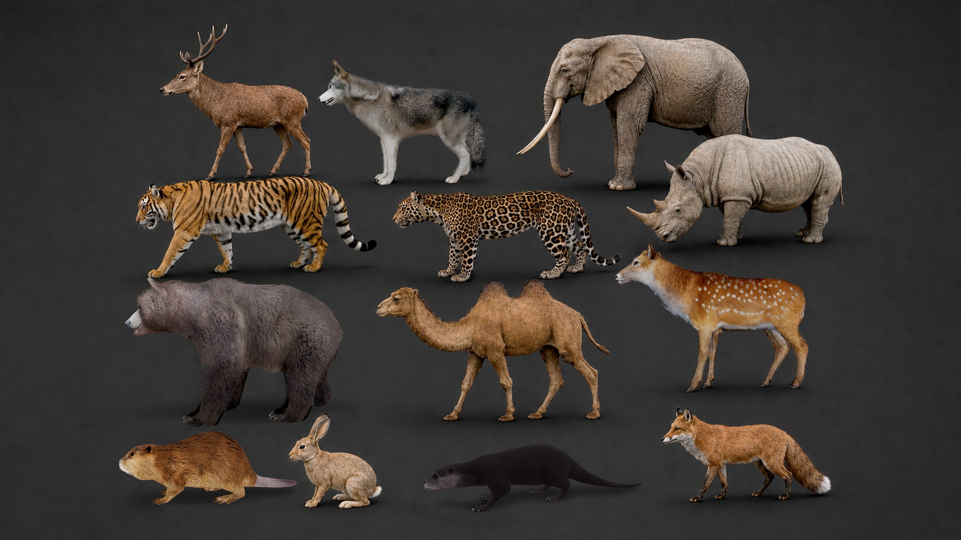 Realistic Animals Pack Animated Animal 3D Models 3D https://p.turbosquid.com/ts-thumb/6x/Xe8cus/qT/realisticanimalspackanimatedanimal3dmodels/png/1780499940/1920x1080/fit_q87/7069b1691109d232ce72ace6a0f1eb437c6d0417/realisticanimalspackanimatedanimal3dmodels.jpg