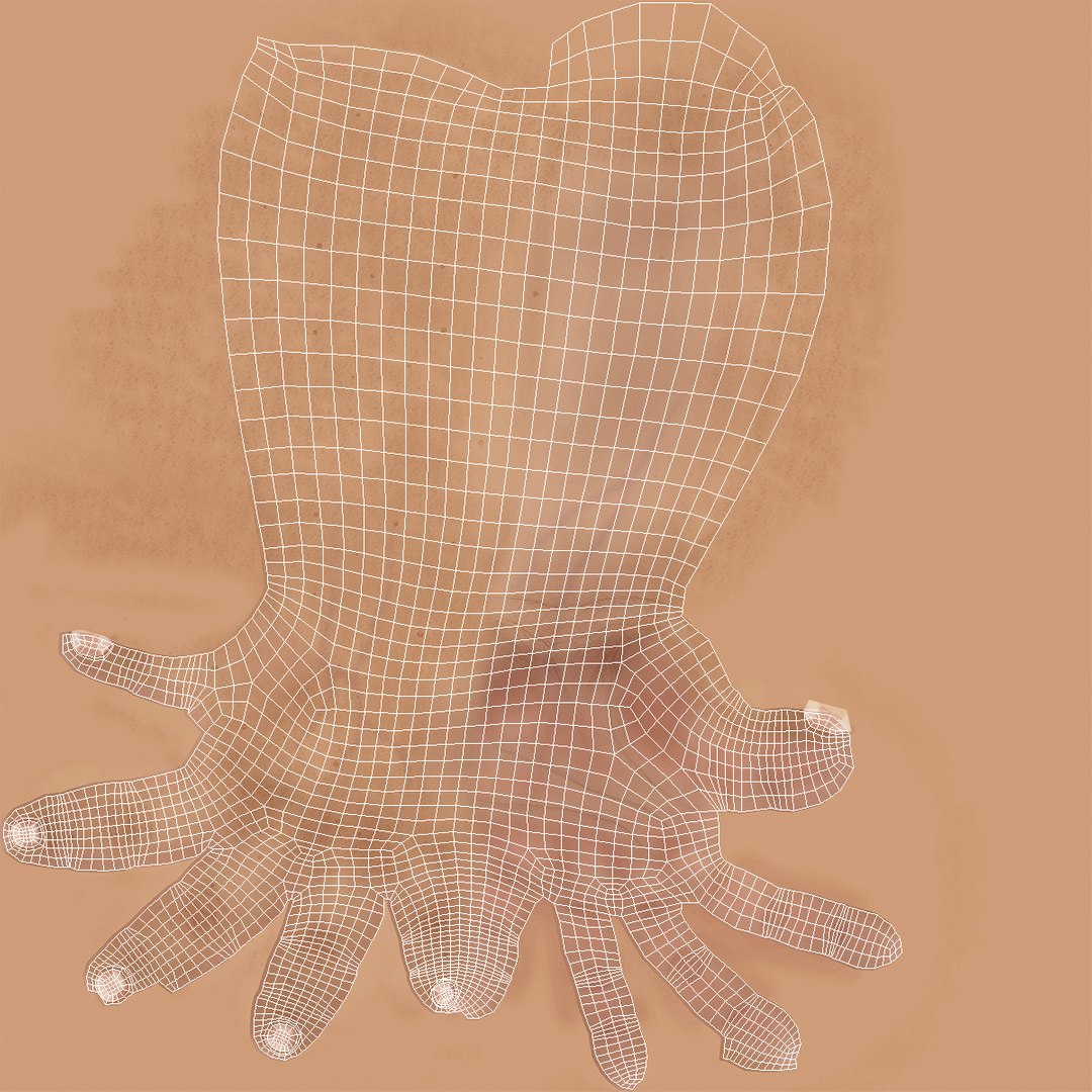 3d c4d man hands 2 rigged https://p.turbosquid.com/ts-thumb/6x/gvz1ss/xJck96Q8/manhandsriggedcinema4d3dmodel30/jpg/1481983484/1920x1080/fit_q87/70fa6a09d49eac838b87c590431f06b3fa66ff09/manhandsriggedcinema4d3dmodel30.jpg