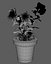 Flower Pot