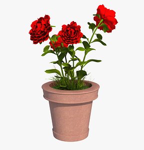 flower pot model