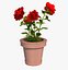 Flower Pot