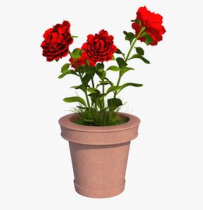 Flower Pot