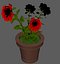 Flower Pot
