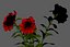 Flower Pot