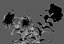 Flower Pot