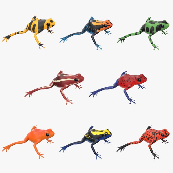 3d poison dart frog model