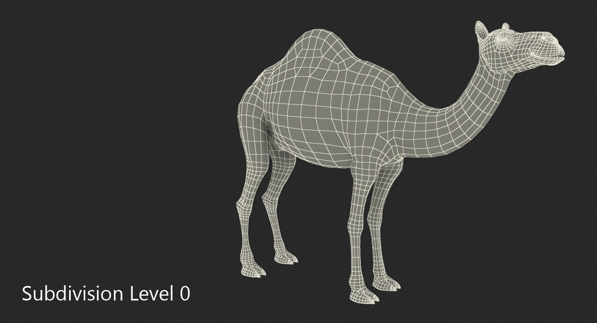 camel standing pose fur 3d max https://p.turbosquid.com/ts-thumb/6x/wqm4GB/8BOgSfc0/camelstandingposewithfur3dmodel010/jpg/1487312059/1920x1080/fit_q87/f64a6f42204c14d03f29656de63bca510ebbf8b6/camelstandingposewithfur3dmodel010.jpg