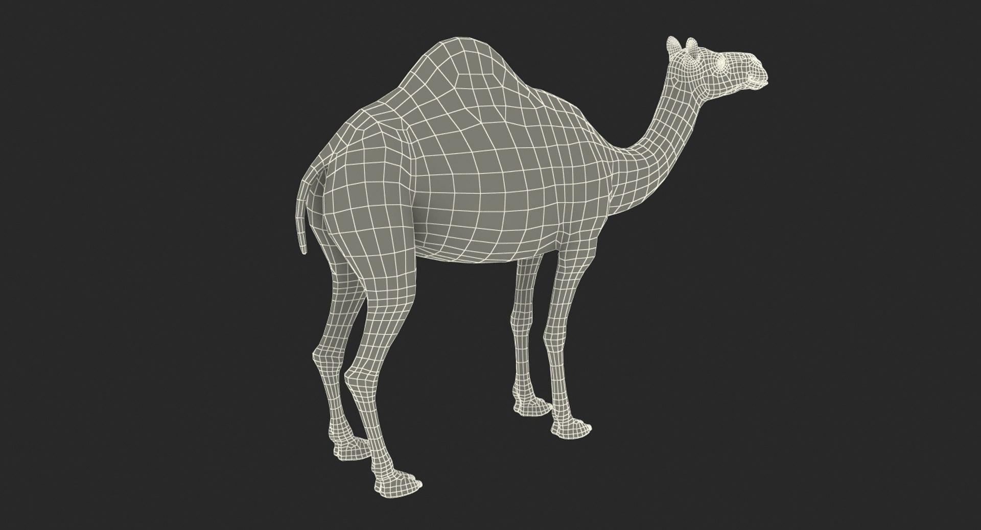 camel standing pose fur 3d max https://p.turbosquid.com/ts-thumb/6x/wqm4GB/BC4bvz1a/camelstandingposewithfur3dmodel016/jpg/1487312063/1920x1080/fit_q87/8cffea45059f9342b73f54fd1391dd68764af871/camelstandingposewithfur3dmodel016.jpg