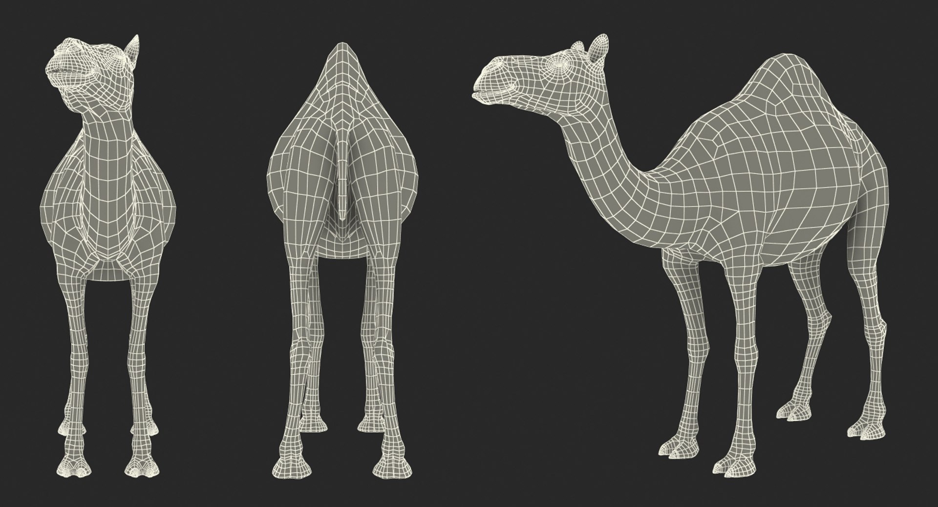 camel standing pose fur 3d max https://p.turbosquid.com/ts-thumb/6x/wqm4GB/MlGL4b1g/camelstandingposewithfur3dmodel017/jpg/1487312063/1920x1080/fit_q87/83669c3b0e0bc75424d1146314670fcdf0082592/camelstandingposewithfur3dmodel017.jpg
