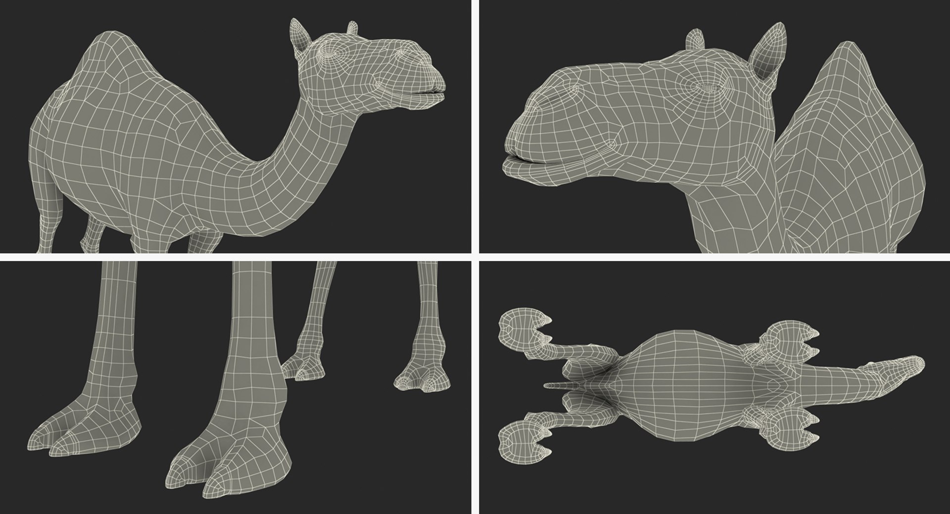 camel standing pose fur 3d max https://p.turbosquid.com/ts-thumb/6x/wqm4GB/f4VAHHWt/camelstandingposewithfur3dmodel018/jpg/1487312064/1920x1080/fit_q87/668e2de00f6739370dbdfb68309d68ee07cc4e69/camelstandingposewithfur3dmodel018.jpg