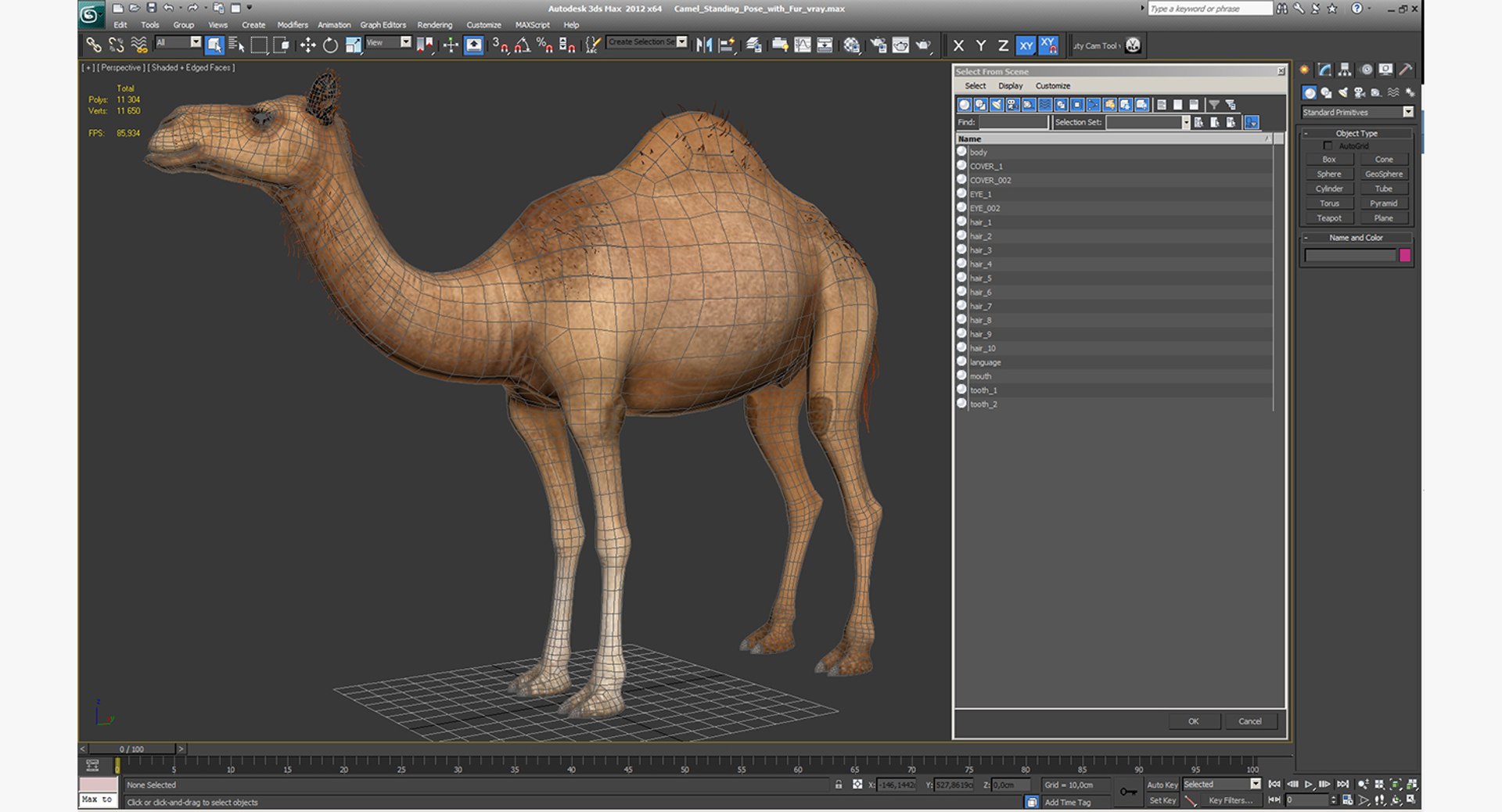 Camel Standing Pose Fur 3d Max