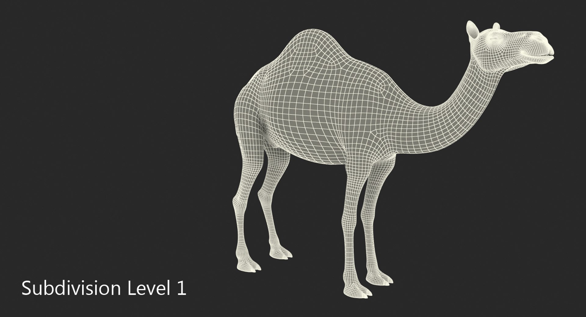 camel standing pose fur 3d max https://p.turbosquid.com/ts-thumb/6x/wqm4GB/oZjWe9uc/camelstandingposewithfur3dmodel011/jpg/1487312059/1920x1080/fit_q87/5ce256583660a1deb91e9cb6d1bd4eb53a673f7d/camelstandingposewithfur3dmodel011.jpg