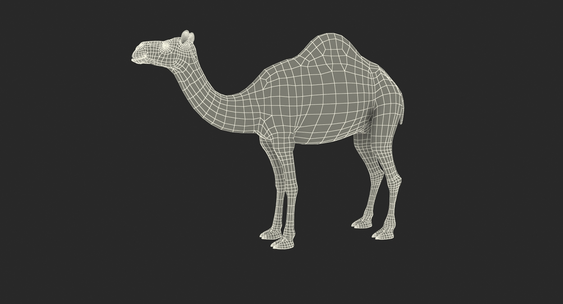 camel standing pose fur 3d max https://p.turbosquid.com/ts-thumb/6x/wqm4GB/uJC4yMJF/camel_standing_pose_with_fur_361/jpg/1487312274/1920x1080/turn_fit_q99/bcd10724c2824d017284d282f902d0f3052b9f95/camel_standing_pose_with_fur_361-1.jpg
