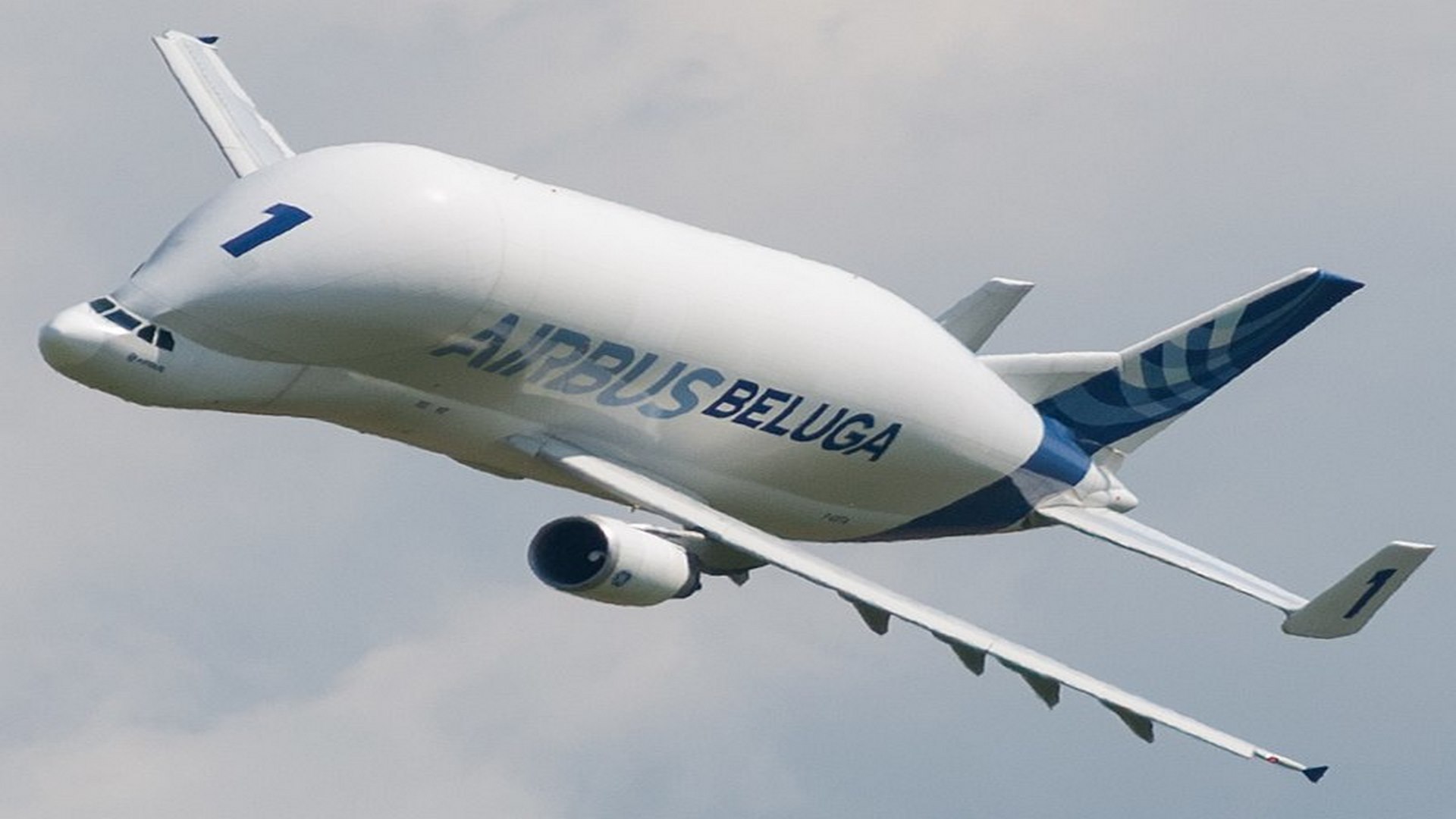 Airbus A300 Beluga 3D model - TurboSquid 1986086