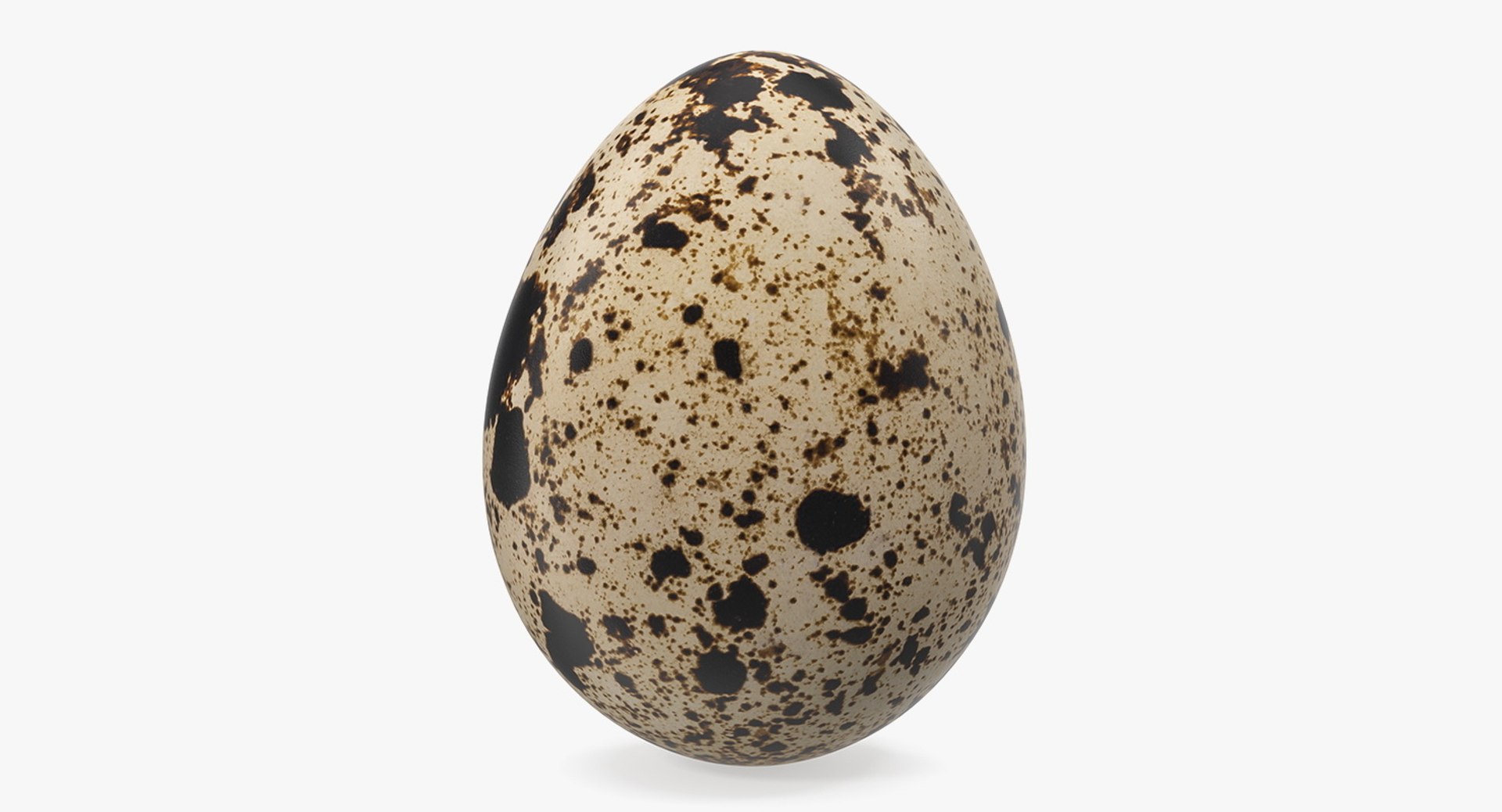 Eggs Collection 4 model https://p.turbosquid.com/ts-thumb/6y/5kjslY/07/eggs_collection_4_009/jpg/1785232914/1920x1080/fit_q87/a5f389b067a6952a2bc83814704b659bbae9edd7/eggs_collection_4_009.jpg