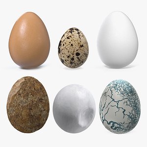 Eggs Collection 4