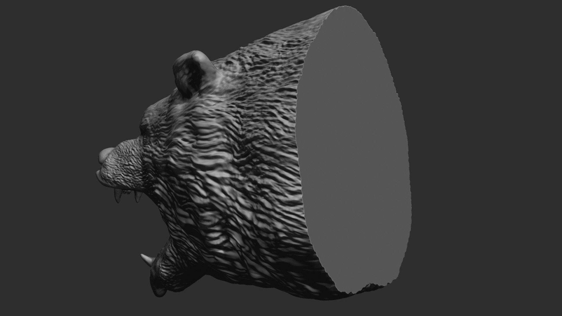 Bear head model https://p.turbosquid.com/ts-thumb/6y/B0jGOi/5t/50/jpg/1617559380/1920x1080/fit_q87/899c8a5073b838596215c56862352eba3cce0b5d/50.jpg