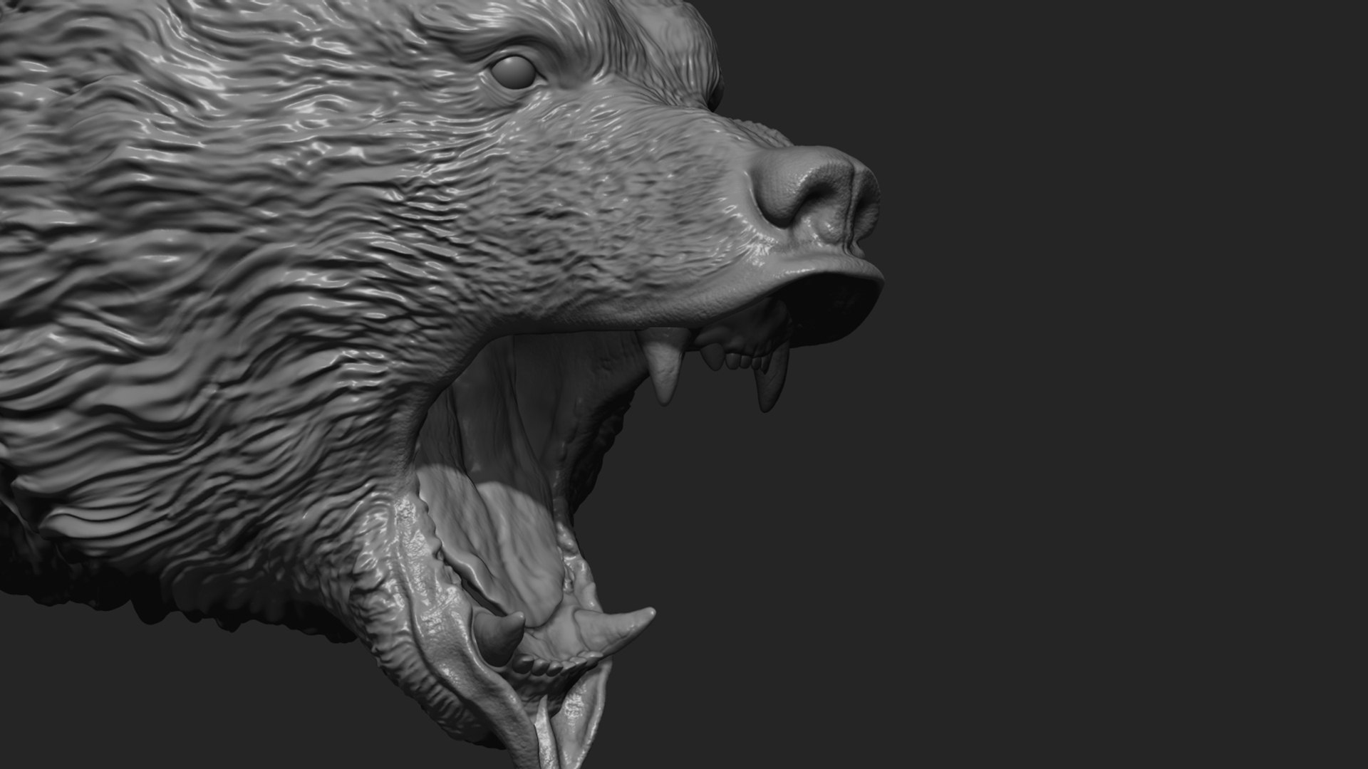 Bear head model https://p.turbosquid.com/ts-thumb/6y/B0jGOi/HW/38/jpg/1617559382/1920x1080/fit_q87/d09294025f66446fa19661e18ba663dcf8f82b12/38.jpg