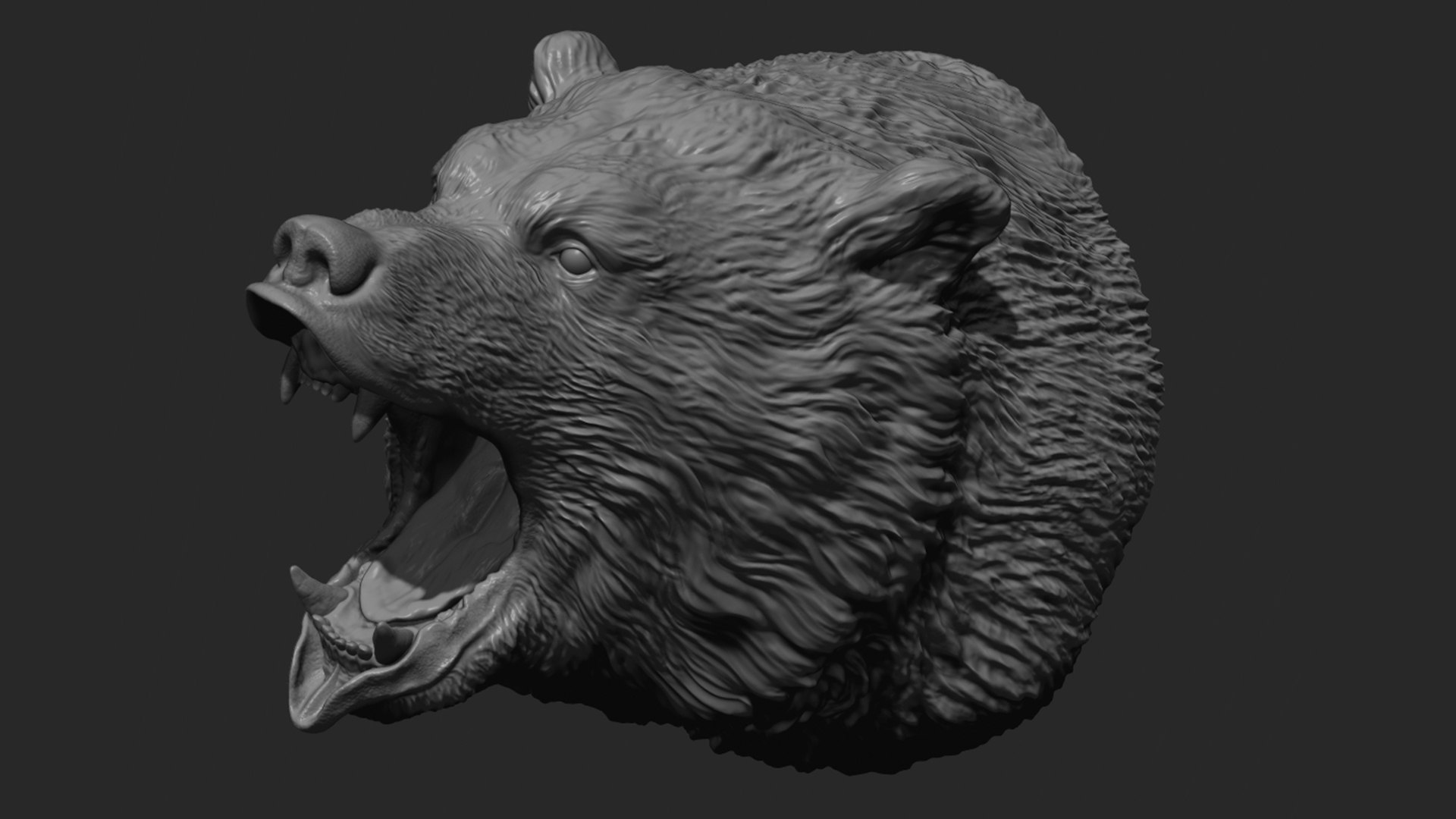 Bear head model https://p.turbosquid.com/ts-thumb/6y/B0jGOi/S9/40/jpg/1617559389/1920x1080/fit_q87/55e4809fa0a8347266e4b9b6a6682e85b58b37b9/40.jpg