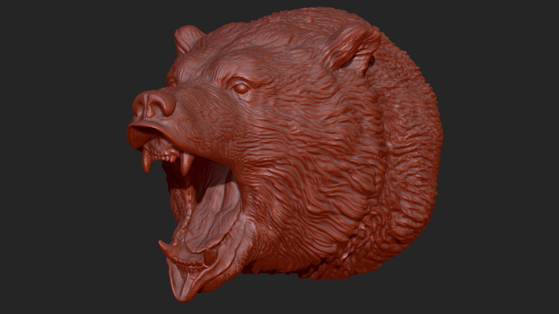 Bear head model https://p.turbosquid.com/ts-thumb/6y/B0jGOi/qD/19/jpg/1617559382/1920x1080/fit_q87/14f14e04e13136170ae51e43361e081c1faf51c5/19.jpg